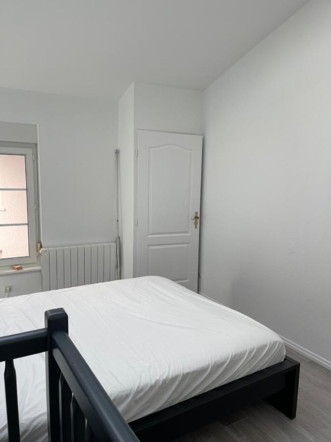 Nancy Hypercentre 34 Rue Des Dominicains ! Leilighet Eksteriør bilde
